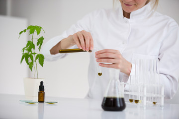 Scientist working with pharmaceutical cbd oil in a laboratory with a glass equipment