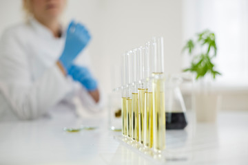 Scientist checking the marijuana plant progress in a laboratory
