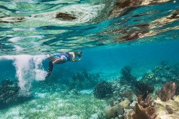 Man snorkeling, Turneffe Atoll, Belize Barrier Reef, Belize - 269423063
