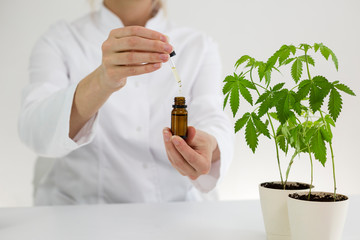 Scientist holding a bowl with cbd oil