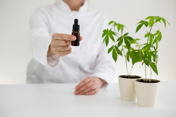 Scientist holding a bowl with cbd oil
