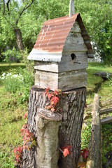 Vintage split-rail fence and bird house.