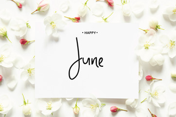 Inscription Happy June. Summer fresh flowers. Top view. - image - obrazy, fototapety, plakaty