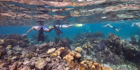 Fototapeta na wymiar People snorkeling, Turneffe Atoll, Belize Barrier Reef, Belize