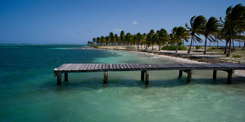 Pier and palm trees on the beach, Half Moon Caye, Lighthouse Reef Atoll, Belize
