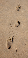 Barefoot footprints on ocean beach.