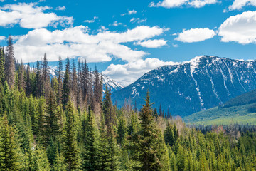 View of snow mountains at summer in British Columbia, Canada.