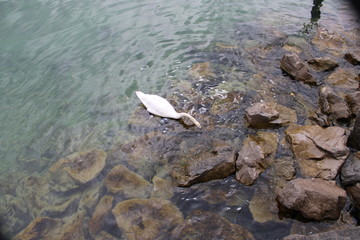 Embankment of Lake Constance in Friedrichshafen