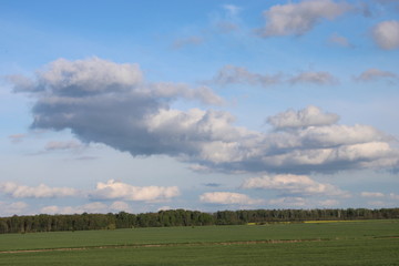 Obraz na płótnie Canvas Cloudy spring day in Lithuania