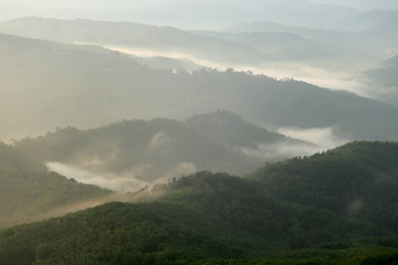 mountains in the fog