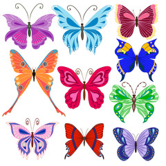 Plakat Set of butterflies. Vector illustration. EPS 10