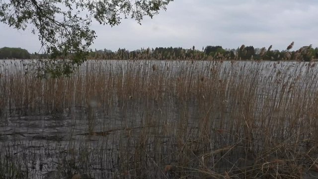 jezioro