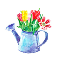 Watercolor spring floral bouquet in a vintage pot. Set of hand painted tulip flowers in a rustic watering can, isolated.