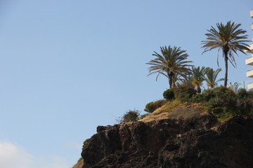 Fototapeta na wymiar Madeira, Portugal