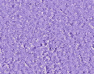 abstract purple background