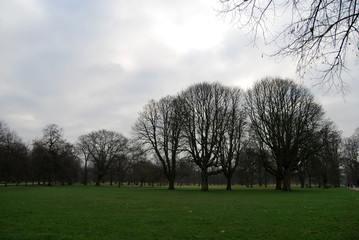 Walking through the parks of London