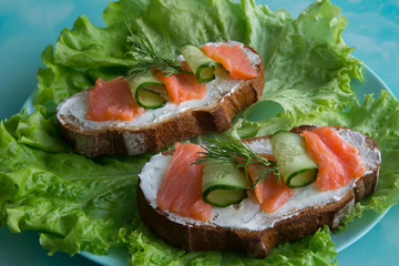 Sandwich with salmon, cheese, cucumber and herbs