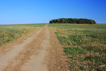 Dirt country road in the field