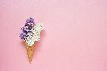 Lilac flowers in a waffle ice cream cone on pink background. Summer concept. Copy space, top view. © Laima Gri