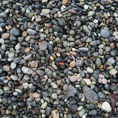 High angle view of pebbles on Spiral Beach, Victoria, British Columbia, Canada