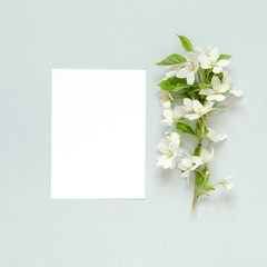  Paper blank, summer fresh flowers  on blue background. Mockup. View from above. - Image