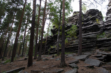 stone wall in the forest