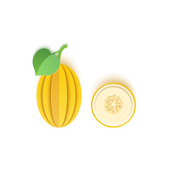 The paper is sliced with whole and cut melon berry, an excellent design for any purpose. Summer, sweet watermelon juicy food. Vector card 3d illustration. Tropical papercraft layers fruit