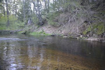Fresh Water River