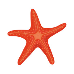 Red starfish in cartoon style for summer design elements isolated on white background