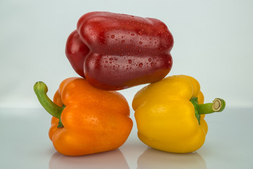 Paprika rot orange gelb