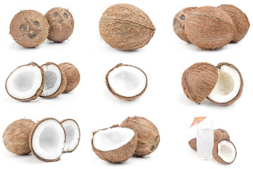 Collection of coconut on a white background cutout