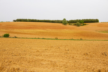Terrenos agricolas en cuesta arados recientemente y preparados para el cultivo. Con tonos ocres y...