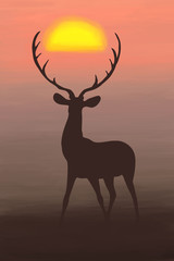  Bright sunset- sunlight summer drawn illustration with deer silhouette on