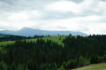 landscape in the mountains