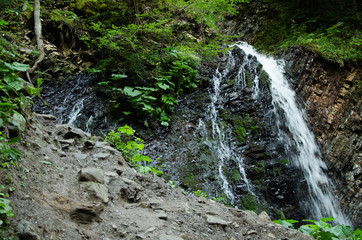 waterfall in forest