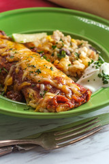 Mexican Chimichanga Enchilada