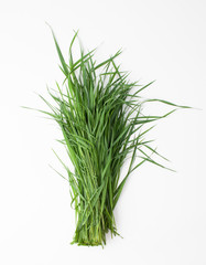 Bunch of green grass on white background