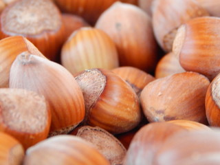 heap of hazelnuts isolated on white background