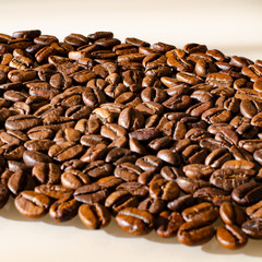 Close-up coffee beans, lit by the sun and located on the diagonal of the frame