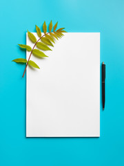 Mockup blank paper and branch with green leaves and black pen on a blue background.