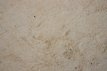 Grainy yellow sand. Seashore sand beach texture. Ocean coast top view photo. Seaside natural backdrop