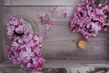 Fototapeta na wymiar A still life of fragrant purple Lilacs in a vase.