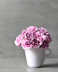 Pink carnation flowers in cup on grey background.
