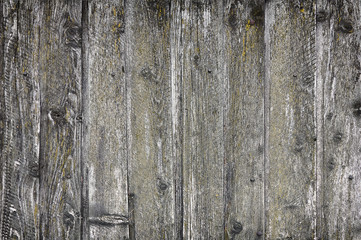 texture fence of old gray boards closeup