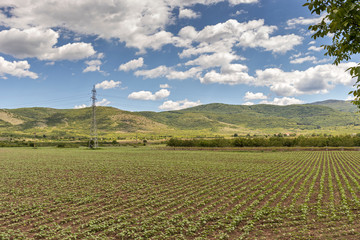 Rural Landscape with Upper Thracian Plain near town of Perushtitsa, Plovdiv Region, Bulgaria