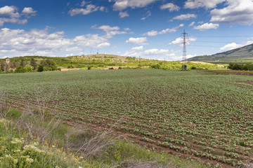 Fototapeta na wymiar Rural Landscape with Upper Thracian Plain near town of Perushtitsa, Plovdiv Region, Bulgaria
