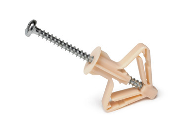 Screw with plastic anchor for wall