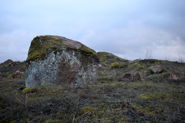 Boulder with moss on field after deforestation