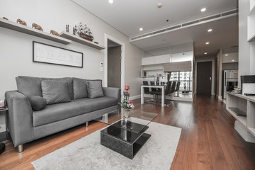 Modern living room interior