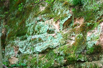 rocky cliff overgrown with moss